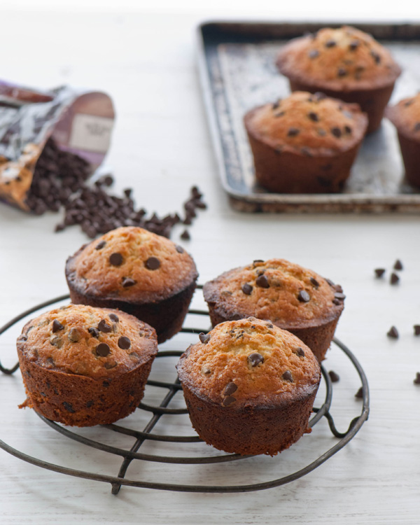 Chocolate chip muffin recipe