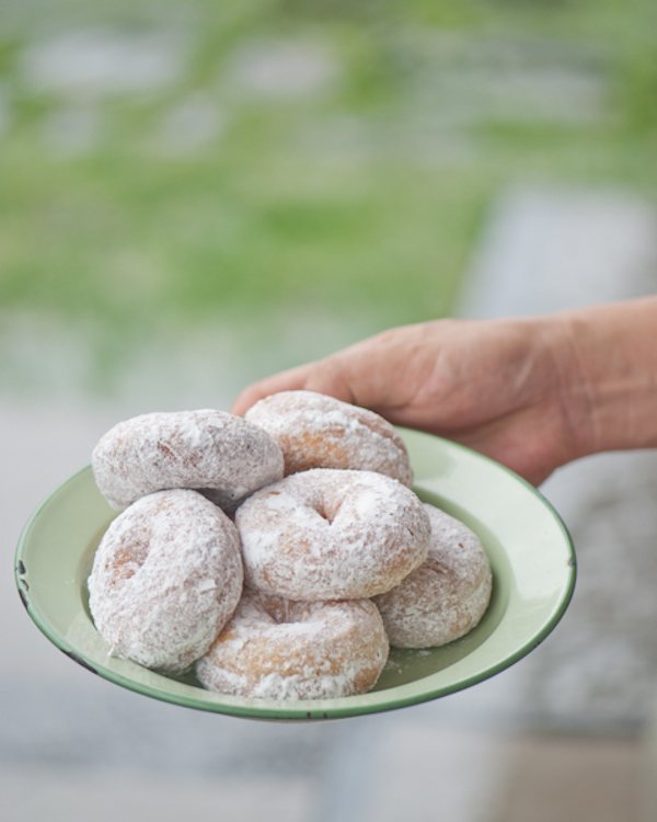Powdered sugar donuts, White powdered donuts, Powdered doughnut, Mini powdered donuts