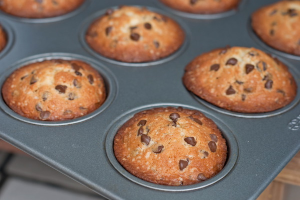 Chocolate chip muffin recipe